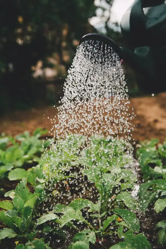 Best Smart Garden Watering System