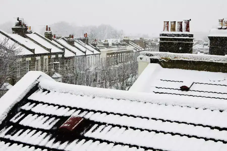Best Snow Roof Rakes
